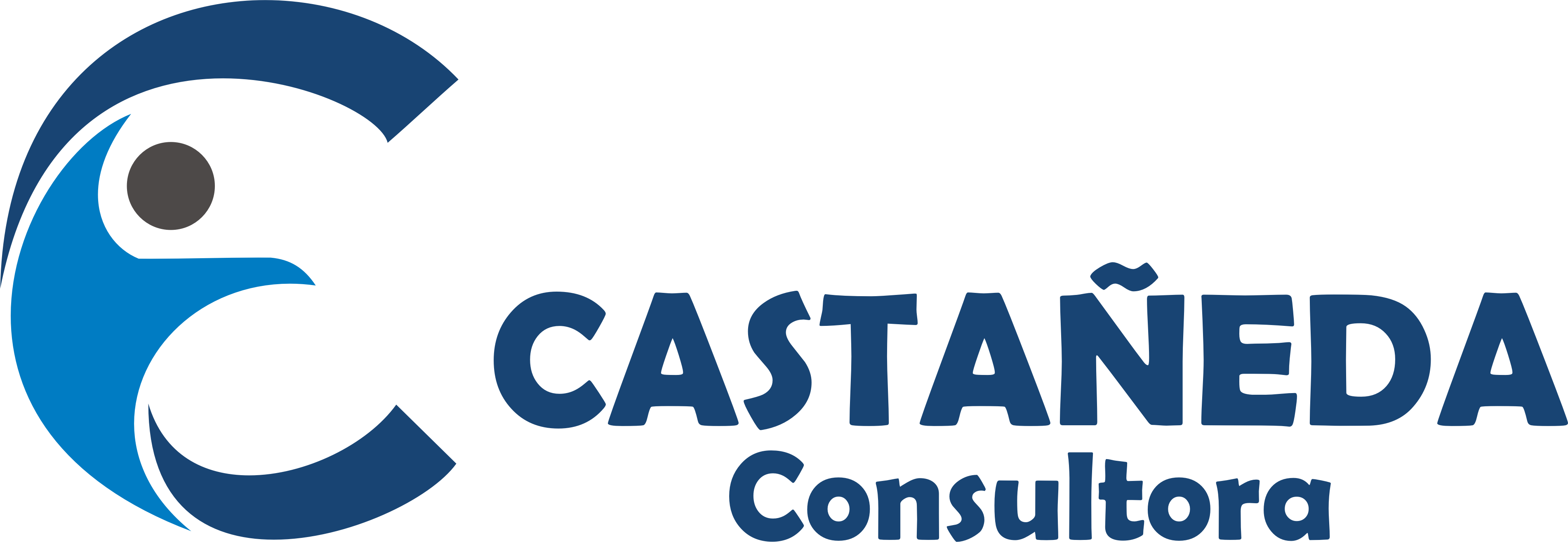 Contacto Castañeda Consultora